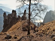 Rifugio Rosalba (1730 m) ad anello con vento-31genn22 - FOTOGALLERY